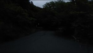 富谷山ふれあい公園の風景19