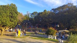 千波公園少年の森の風景9